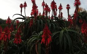 Knysna Budget Friendly Stay